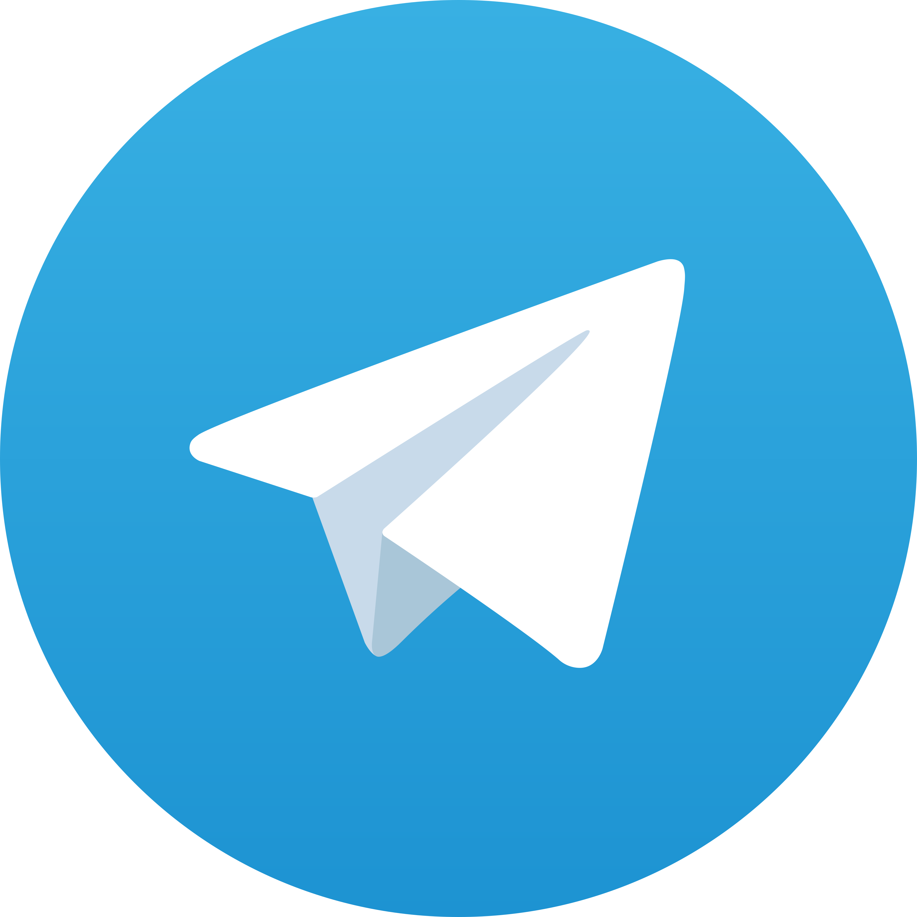 Telegram RICIS4D
